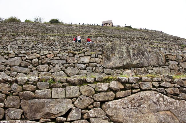 上を見上げると・・・積み上げられた石、石、石。城壁、石垣のように見えますが、段々畑です。地面が見えないので、石の壁のように見えます。よくもまあ機械などない時代にこれだけの石を積み上げたもんです。人手だけで。<br />