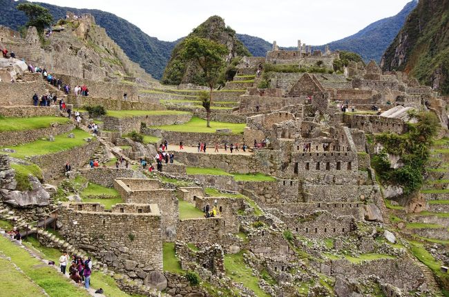 斜面のずっと下の方まで建物跡が張り付くように残っています。よくここまで造ったもんです・・・<br />そして、真ん中に立つ１本の木、いい画になりますね。<br />