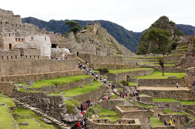 多くの人が訪れていますね。これだけ斜面や階段が多いと全部見て回るのは結構大変そうです。<br />