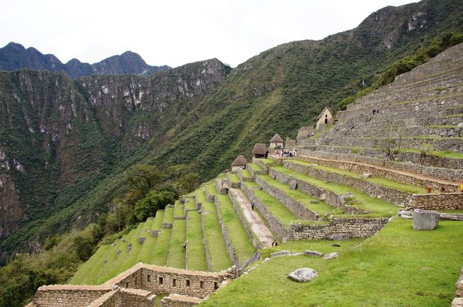 見事な段々畑。こんな急斜面にどうやって造成したのでしょうか。<br />この畑は東向きに造られており、昇る太陽の日によって石が温められ、夜も温室のような効果を果たしたといいます。石組みの内側は土の下に川の砂、小石、石と４層になっており、水はけや保水が考慮されているとのこと。水路はないのですが、豊かな雨だけで多くの作物を育てていたのでしょう。作物も寒冷に強いジャガイモや温暖なところで育つトウモロコシ、他にもかぼちゃなど、標高差を利用して気候に適した作物を栽培していたそうです。<br />