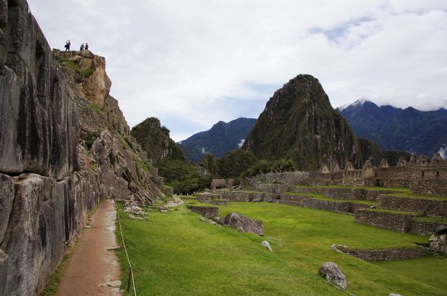 ミニ植物園から、メイン広場をのぞみます。青々とした芝生に覆われた広場。おひさまの下で大の字になって寝そべりたいです。<br />