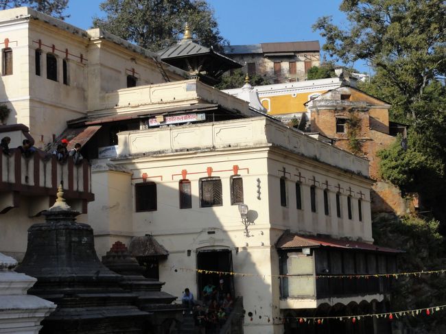 ホスピス（死を待つ人の家）<br />パシュパティナート寺院のすぐそばにあり、ここで死にたいと願う人は多いとのことだが、定員があってそうもいかない。<br />見ている間にも死者が運び出されていく。<br />ここは一応病院なので、時々サルにおそわれてけがをした外国人が応急手当を受けるらしい。<br />さっきもサルが20頭あまり団体で我が物顔に橋を渡っていて、こわい気がした。