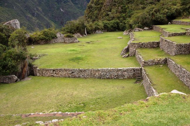 この歩いているところを軸に、メイン広場と反対側にあるこの段々畑が「農業試験場」と言われているところです。花粉を分析したところ、多くの植物を栽培していたことがわかったそうです。高地では育たないコカの木の品種改良もここで行われたのでしょうか。<br />
