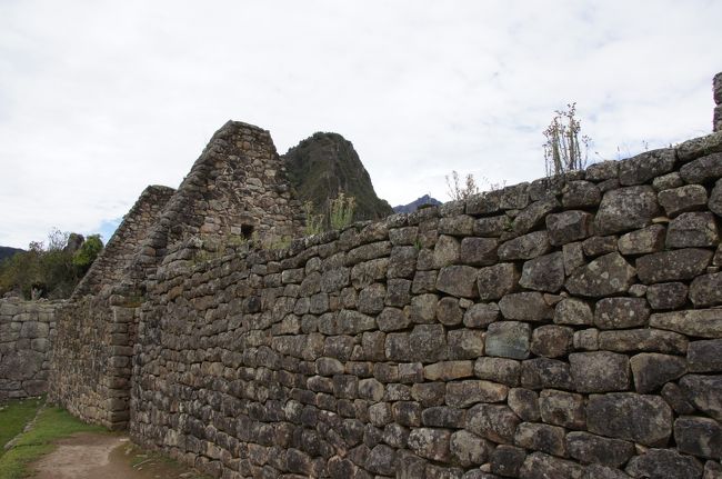 来た道を振り返るようにして撮った写真です。未完成の神殿の土台部分が写真の左端、三角の家の壁の奥に少しだけ見えます。居住区の建物と石組みとは異なり、精巧にぴったりと石と石とが合わさった壁となっているので、そこが神聖なものの跡であることがわかります。<br />