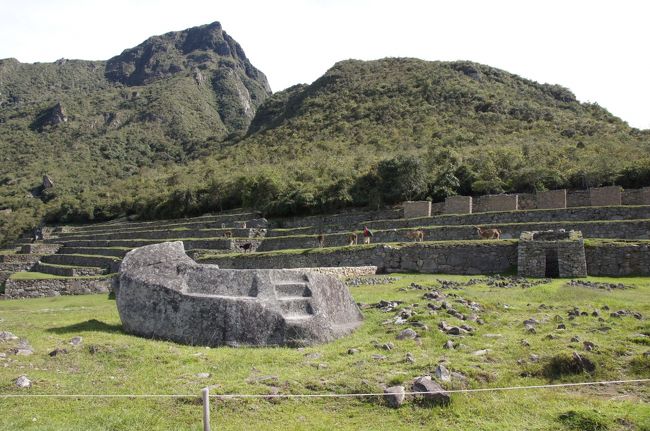 真ん中のこの石は、「儀式の石」です。平らな部分に捧げものを置いたといいます。そして、インカの建造物に見られる３段の階段が彫られています。これはインカの世界観をあらわすもので、それはカイパチャ＝地上の世界（現世界）、ウクパチャ＝地下の世界、ハナンパチャ＝天上の世界だということです。<br />この石の左側は平らになっていませんが、見る位置によっては、山の稜線を象ったように見えるそうです。<br />