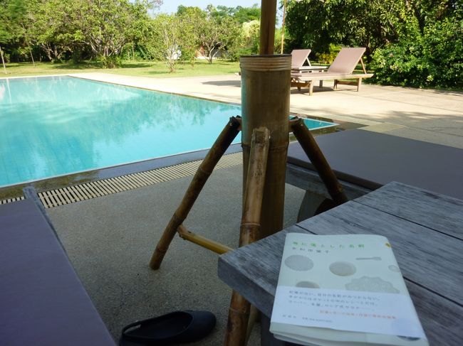 ここでの仕事。<br /><br />読むこと・・寝ること・・