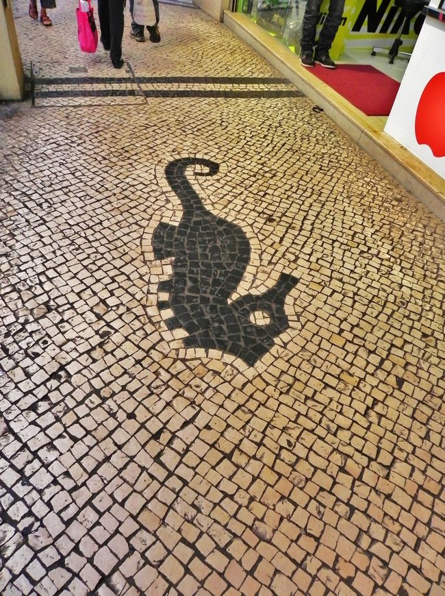 新馬路まで戻ってきたらしい