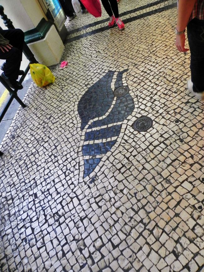 ずっとつづいてる<br /><br /><br /><br />にし貝？