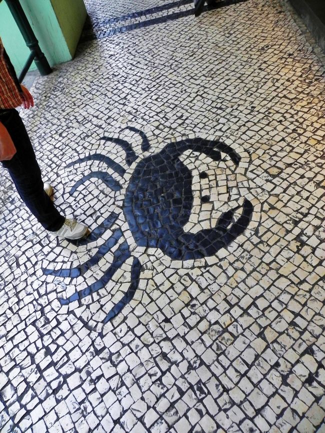 朝日かに？ミルクかに？<br /><br />食べやすいように？足ほずしてくれてる