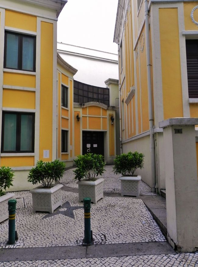 これは忍者の手裏剣？