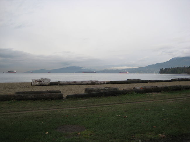 ベンチに座って海を眺めしばしぼーっとする。<br /><br />・・・気温６度だというのに、<br />水着で海に入っているグループ発見！？<br />見てるだけで寒くなったので；次の目的地へ。