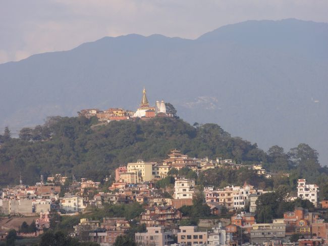 おなかがいっぱいになり、家の前の丘に登ってみる。遠くにスワヤンブナート（スワヤンブーとみんな言っている）がよく見える。<br />桜の木も何本かあり、満開だった。<br />この季節ネパールでお花見ができるなんて驚き。