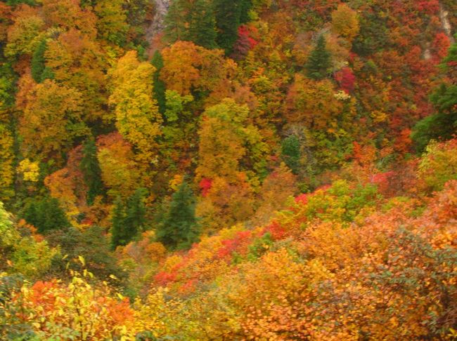 白神山地05 釣瓶落峠 青森 秋田の県境越え 錦秋の紅葉美 際立って 八峰 藤里 秋田県 の旅行記 ブログ By マキタン2さん フォートラベル 白神山地05 釣瓶落峠 青森 秋田の県境越え 錦秋の紅葉美 際立って 八峰 藤里 秋田県 の旅行記 ブログ By マキタン2さん フォートラベル