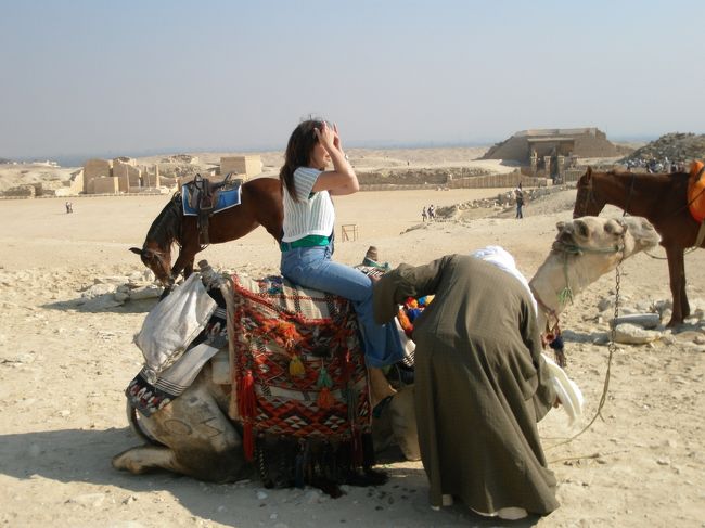 ラクダに乗って写真を撮ることもできます。１＄