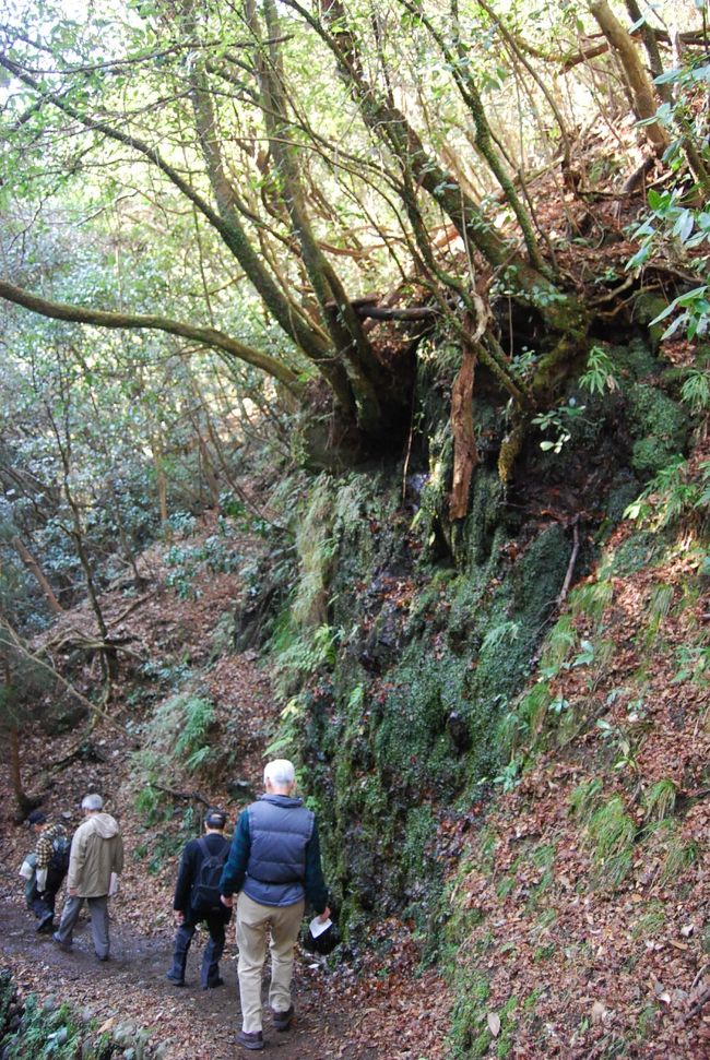 古都京都を訪ねての旅⑦清滝トレイル 4)清滝付近から嵯峨鳥居本 古都京都を訪ねての旅⑦清滝トレイル 4)清滝付近から嵯峨鳥居本
