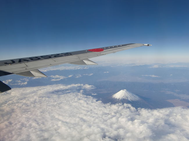 石垣行きの便から富士山が見えることはよくありますが、いつもより富士山に近いところを飛行。