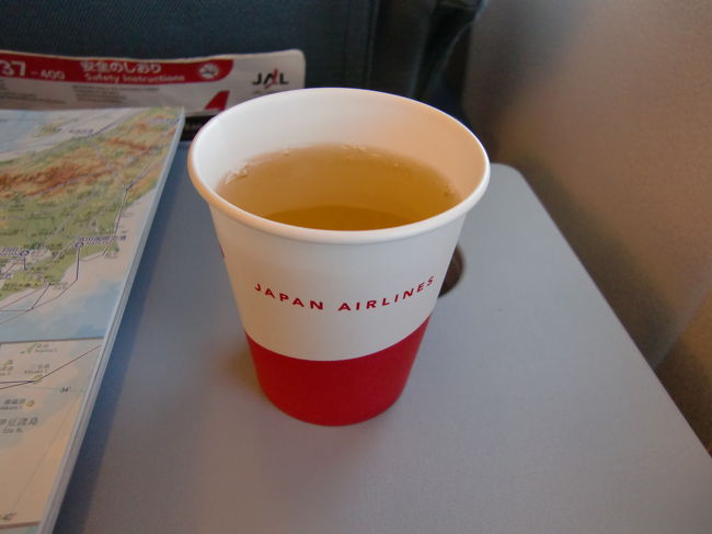 この辺りで冷たいさんぴん茶を頂きました。