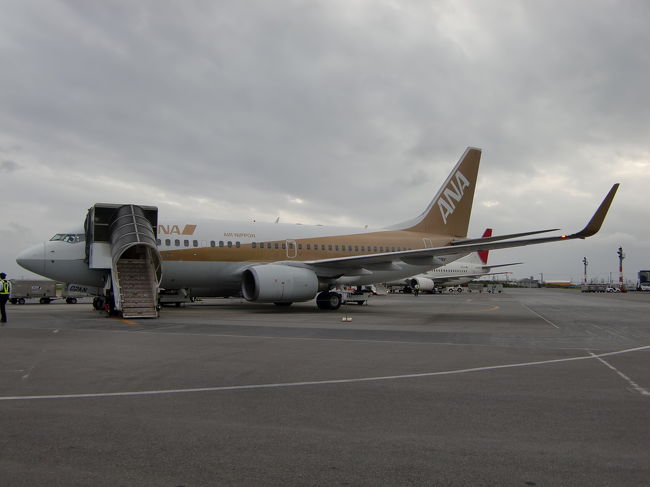 隣の一番ターミナル側のスポットには全日空のゴールドジェットが駐機中でした。