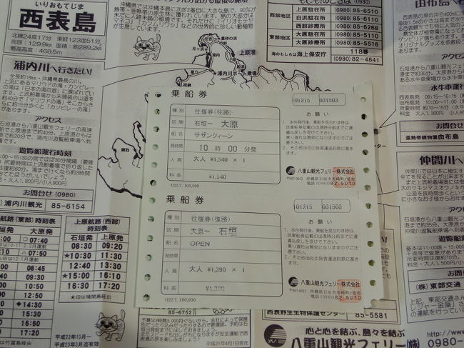 八重山観光フェリーの乗船券