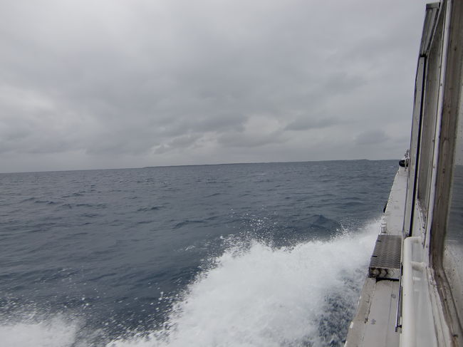 八重山の海を爆走。<br /><br />乗船券売り場のカウンターのお姉さんに「今日は揺れます」と言われたのに思ったより揺れませんでした。<br /><br />揺れは大したことありませんが、デッキは耳をつんざくような爆音です、<br />でもこれが楽しかったりします。