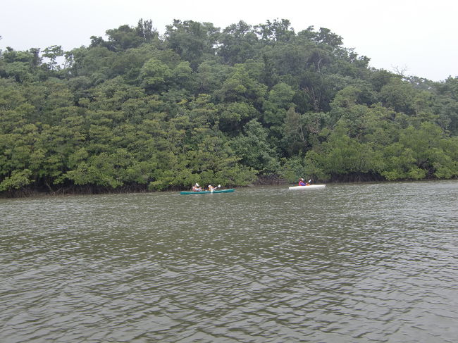 仲間川<br /><br />カヌーを漕いでいる人もいました。