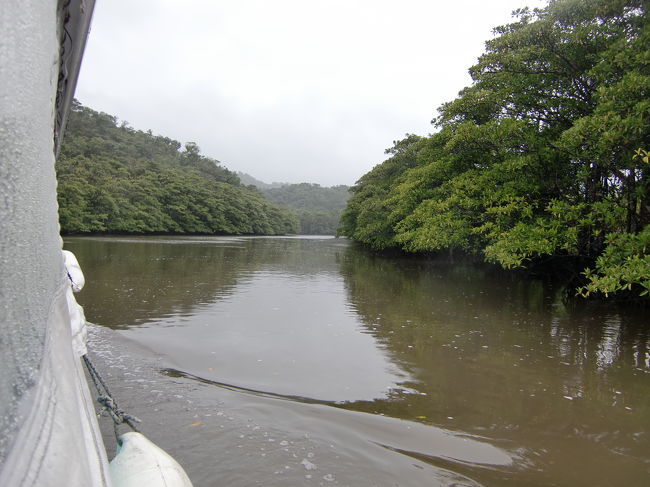 ジャングルの中を進んで行きます、日本とは思えない風景ですね。