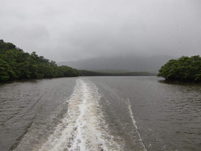 船が通り過ぎたあとは人工的な音がしない静寂の世界なんでしょうね。