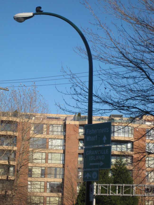 ウィンドウショッピングをしながら、<br />グランビルアイランド方面へ。