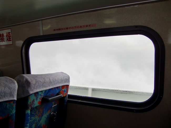 今回は客室に座りました。<br /><br />先程西表から戻る時の船より揺れました。