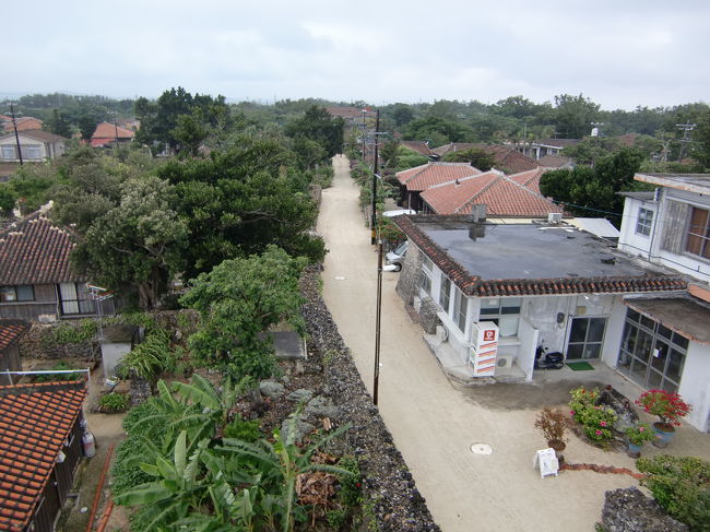 なごみの塔から見た竹富島の集落の風景