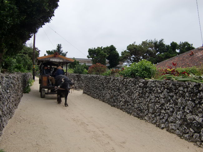 時々水牛車が通ります。<br /><br />今回は乗りませんでしたが水牛車に乗ってのんびり風景を眺めるのもいいかもしれません。