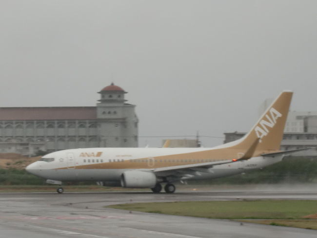 展望デッキに上がった目的はコレ。<br /><br />全日空のB737-700「ゴールドジェット」です。<br /><br />これがタクシーの車内から見え離陸するところを撮影しようと展望デッキに上がったワケです。<br /><br />しかし残念ながらコンデジなのであまり画質が宜しくありません。。。<br /><br />撮影するのはいいのですがコレに乗ってみたいとは思いませんでした、<br />八重山に来るのにJTA以外の飛行機だとなんとなく物足りなさを感じるのです。