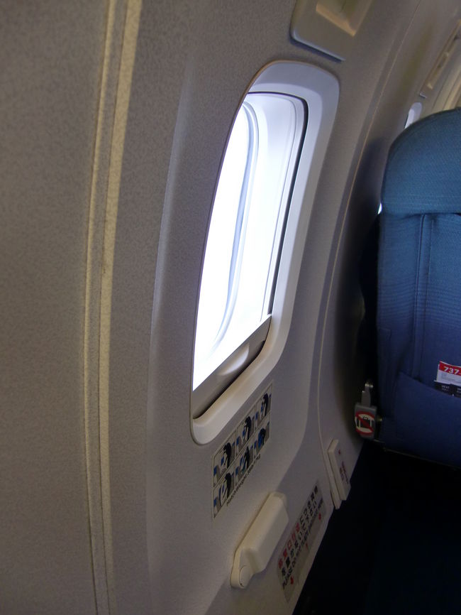 機体中央の翼の上の非常口。