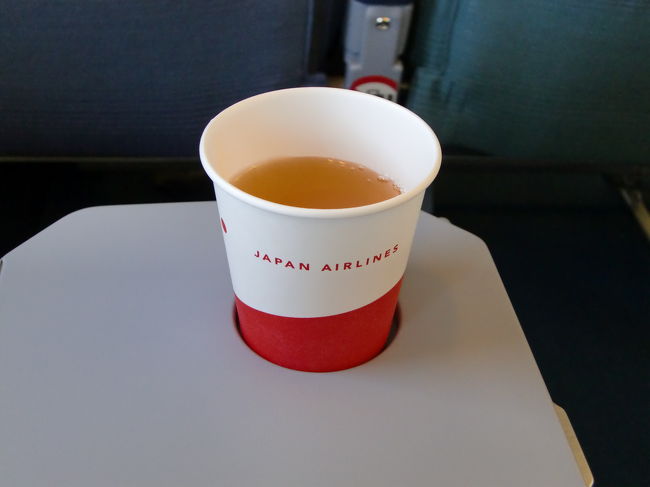 ドリンクは冷たい緑茶かりんごジュースしかありませんでしたが、<br />1時間にも満たない短いフライトなのにドリンクサービスがあるのはありがたい限りです。<br /><br />機内ではりんごジュースを頂きました。