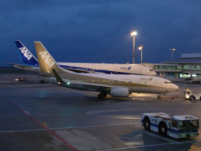 全日空のターミナル側には先に出発したゴールドジェットが駐機しているのが見えました、早くも出発するところで急いで通路のところからガラス越しに撮影。