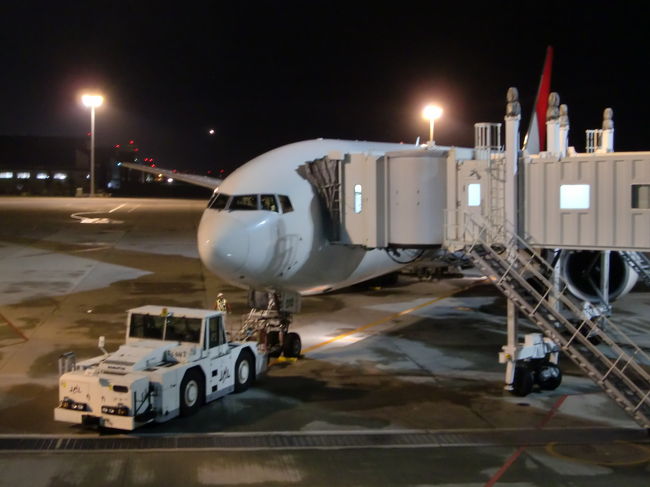搭乗機はこちらのB777-200レジ番JA010D、元ぐるぐるですね。