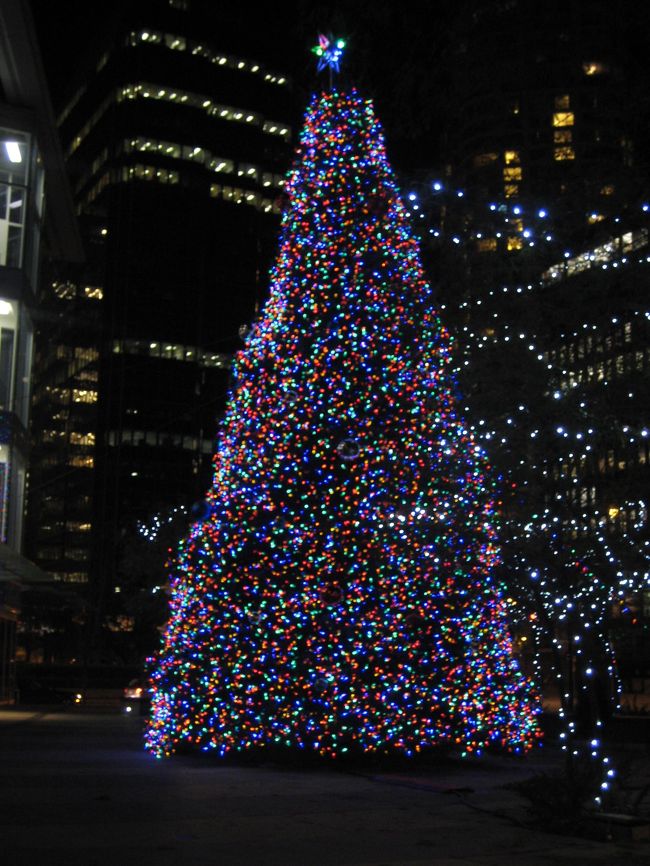 一際きれいに輝いていたツリー☆