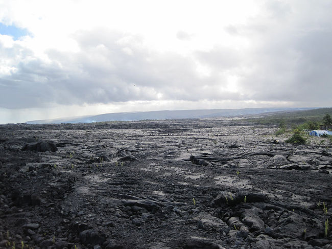 2010夏 満腹♪満足♪ハワイ観光旅行 ~2日目~ キラウエア火山溶岩ウォーク