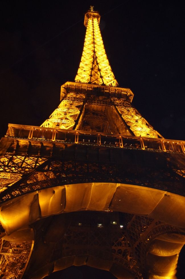 金色に光り輝いています。