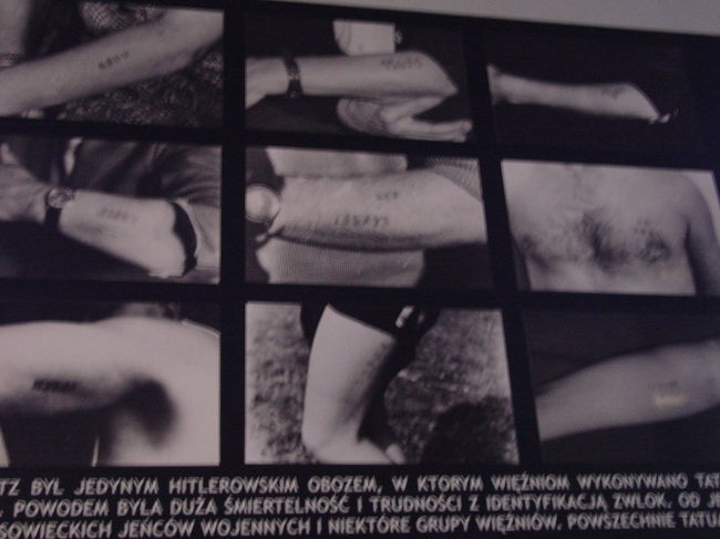 第6ブロック内<br /><br />囚人たちは、収容所に送られてきた日に収容所管理局長から「お前たちの出口は一つしかない。焼却炉の煙突だ。」と言われた。新しく到着した囚人たちは、洋服とそのほかのものを取り上げられ、髪を切られ、消毒を受けて、そして囚人番号を付けられ登録された。各囚人は3ポーズの写真を撮られ、1943年からは、その代わりに左腕に刺青（写真参照）を入れられた。