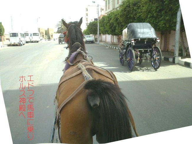 午後。エドフで下船してホルス神殿へ。<br />我々はツアー会社による馬車で。バスで行く団体もいる。 <br />ボロボロだけど派手な飾り付けの馬車にるるると乗ると <br />ヌビア人のおじさんが私に「隣(操縦席?)に乗れ」と手を取る。 <br />バクシーシ(チップ)欲しさにだろうがせっかくなので隣へ。 <br />お馬さんがフンをブリブリするのがよーく見えた。 <br />