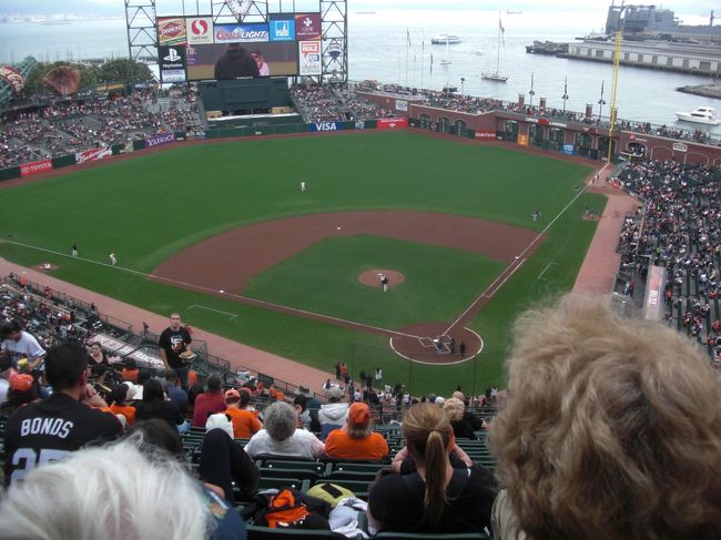 座席はバックネット裏後方、僅かに三塁より。<br />勾配がついており見やすい席。