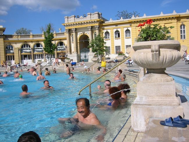 泉質はなんでしょうか？<br />入ってビックリ！！<br />温度が低くすぎです。<br />温い。<br />大きすぎて。広すぎて。<br />開いた口が、、、、、です。