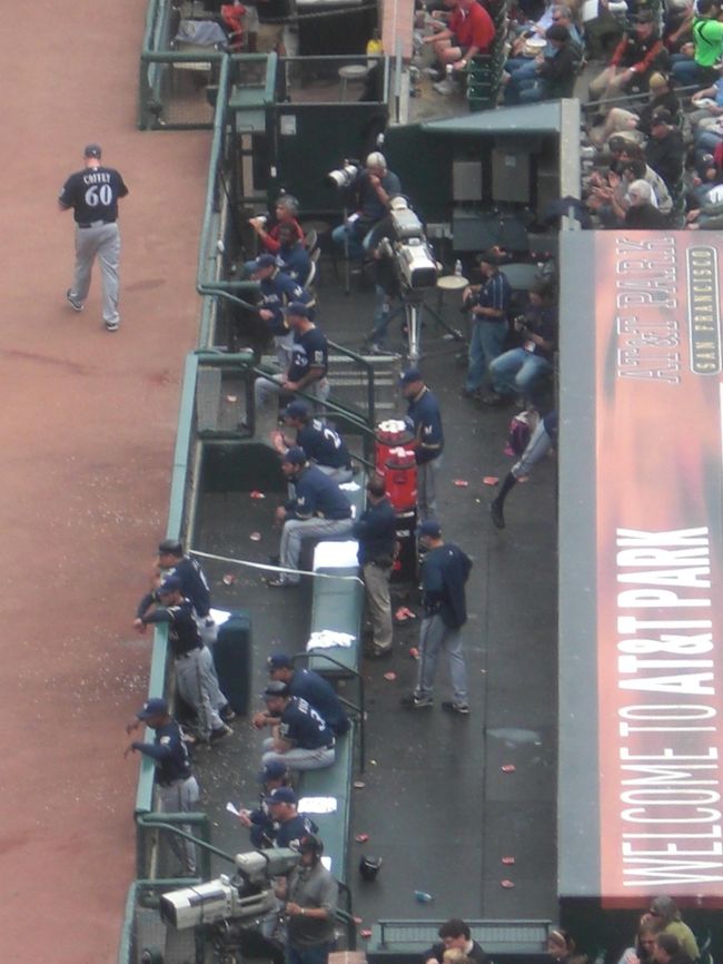 上から見たダッグアウト。