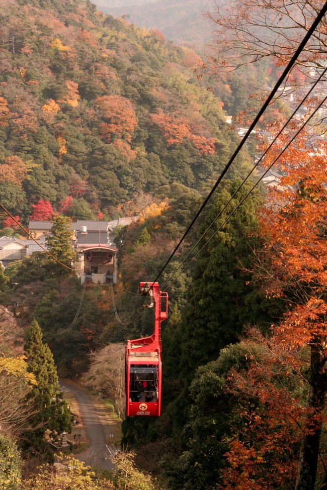 あ あ あ 城崎は 温泉と紅葉とロープウェイに新鮮なお魚が美味しい町だった ダンナと満腹 ゆったり 晩秋の城崎温泉二人旅 城崎温泉 兵庫県 の旅行記 ブログ By Kuritchiさん フォートラベル あ あ あ 城崎は 温泉と紅葉とロープウェイに新鮮なお魚が美味しい町だった ダンナと満腹 ゆったり 晩秋の城崎温泉二人旅 城崎温泉 兵庫県 の旅行記 ブログ By Kuritchiさん フォートラベル