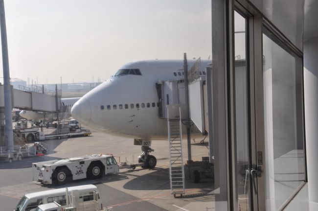 JAL913便<br />羽田11時25分発　那覇行き<br />JA8907　B747-400D<br />