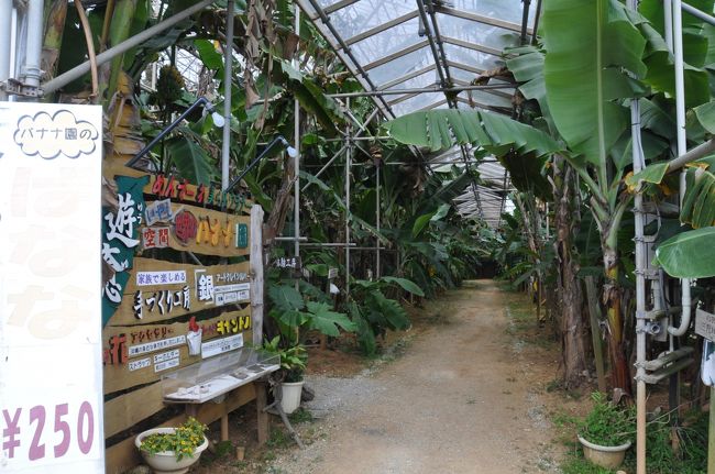 世界のバナナが見られる<br />バナナ園<br />