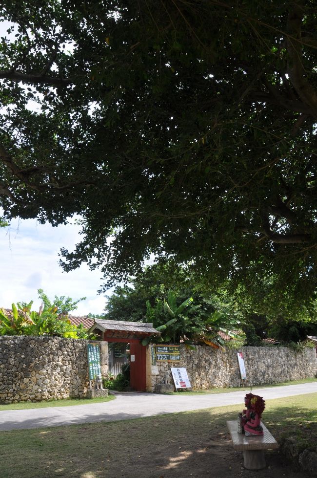 ガジュマルの下に<br />キジムナーが・・・<br />