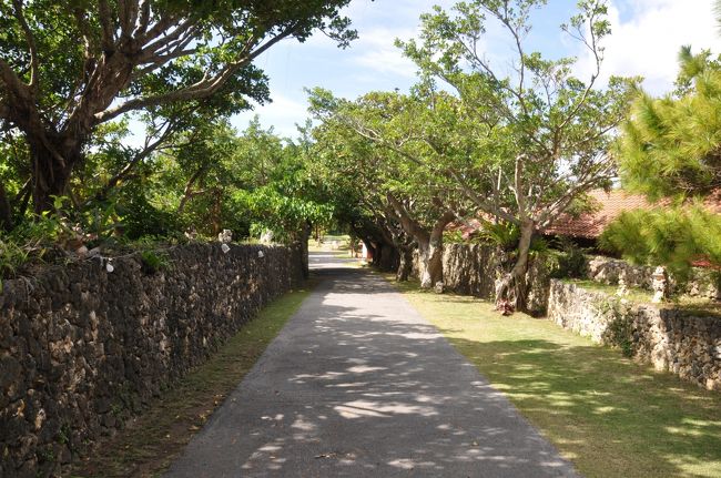 園内はすごく広いです