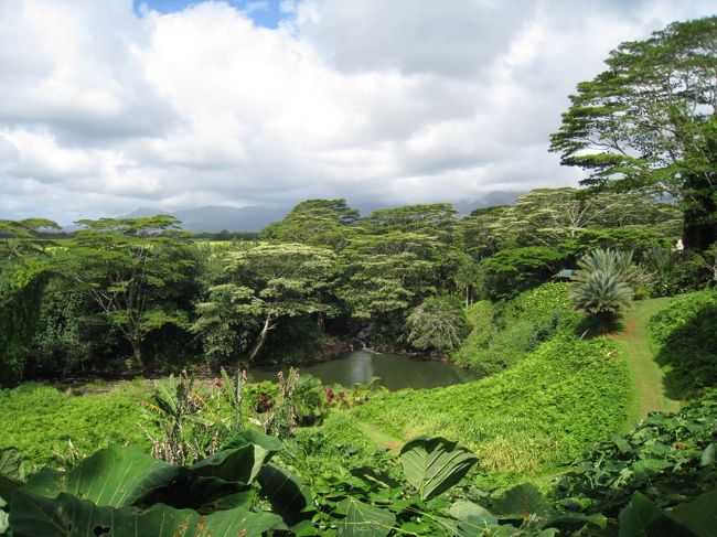 ヒンズー教の寺院を見学しに行きました。すばらしい庭園で有名みたいです。とってもきれいでした。